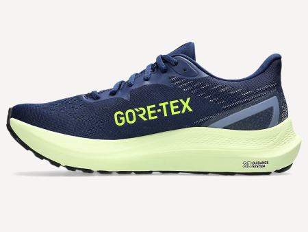Кроссовки GT-2000 12 GTX M (RU 41 EU 42 US 8.5 СМ 26.5 ; blue expanse/safety yellow)